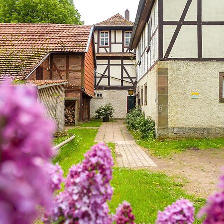 Forsthaus Halbemark Bad Sooden-Allendorf Esterno foto