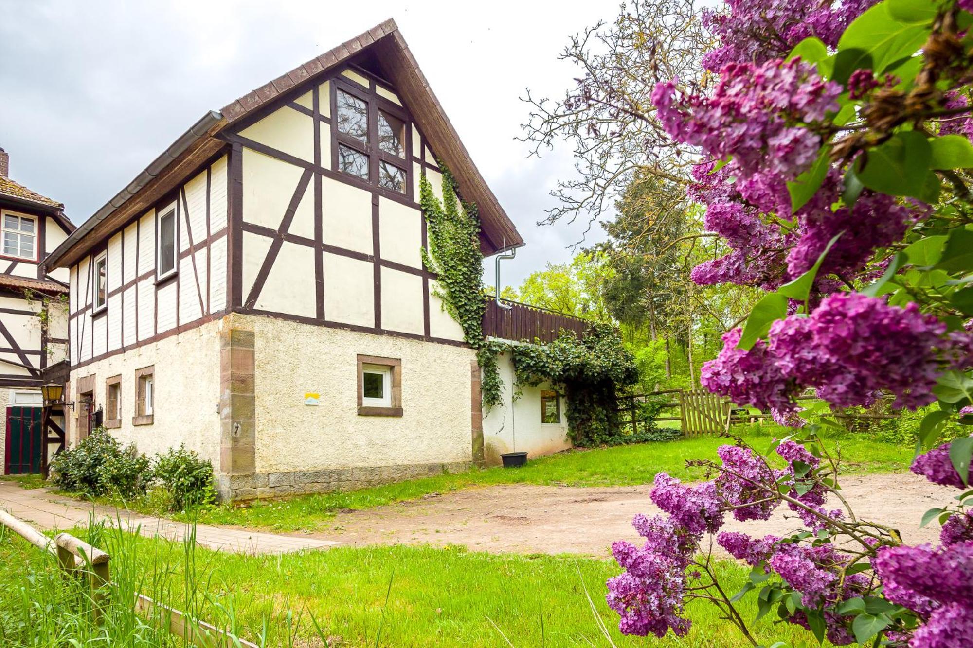 Forsthaus Halbemark Bad Sooden-Allendorf Esterno foto